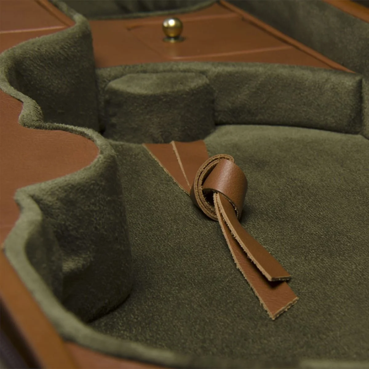 Negri Diplomat Wooden Viola Case Olive (Pre-Order) — Vermont Violins
